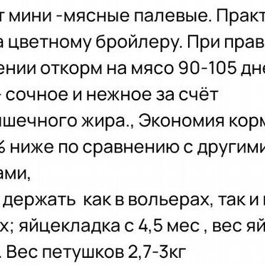Цыплята
